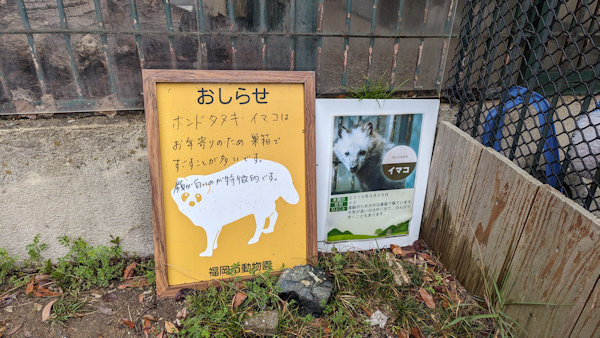 福岡市動植物園のたぬき看板お知らせ