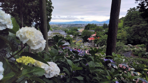 上まで登ると見晴らしがよく、善導寺の街並みや山々を一望できる