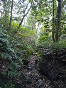 開聞岳の登山道