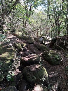 大きな岩が転がる険しい登山道