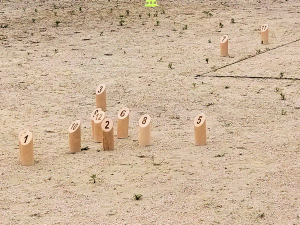 散らばっているスキットル